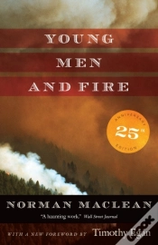 Capa do artigo Young Men And Fire