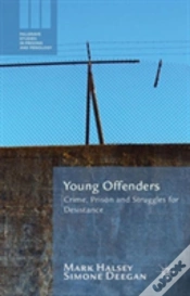 Capa do artigo Young Offenders