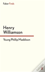 Capa do artigo Young Phillip Maddison