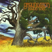 Capa do artigo Young Tree (Remastered) - CD