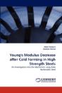 Young'S Modulus Decrease After Cold Forming In High Strength Steels - Preview