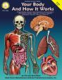 Your Body And How It Works, Grades 5 - 8 - Preview
