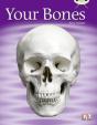 Your Bones 6-Pack - Preview