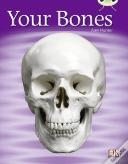 Capa do artigo Your Bones 6-Pack