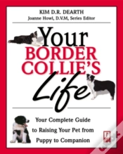 Capa do artigo Your Border Collie
