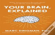 Your Brain, Explained