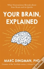Your Brain, Explained
