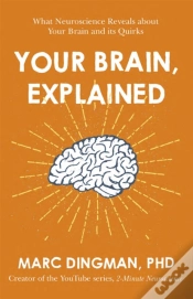 Capa do artigo Your Brain, Explained
