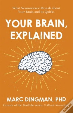 Capa do artigo Your Brain, Explained