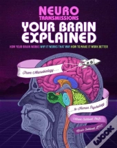 Your Brain Explained
