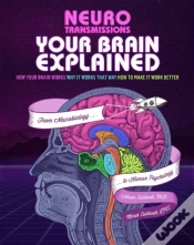 Capa do artigo Your Brain Explained