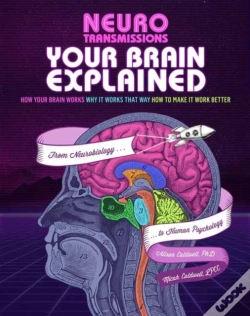 Capa do artigo Your Brain Explained