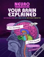 Your Brain Explained