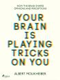 Your Brain Is Playing Tricks On You - Preview