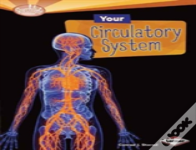 Your Circulatory System