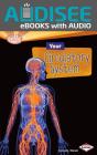 Your Circulatory System - Preview