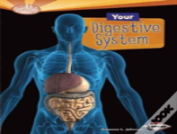 Your Digestive System