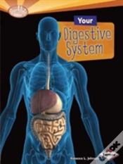 Capa do artigo Your Digestive System