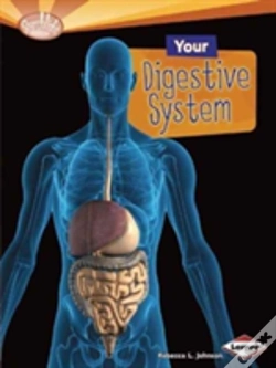 Capa do artigo Your Digestive System