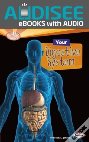Capa do artigo Your Digestive System