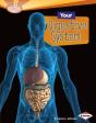 Your Digestive System - Preview