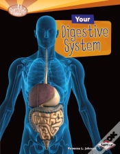 Capa do artigo Your Digestive System