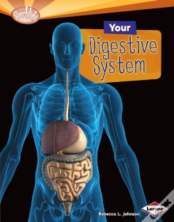 Capa do artigo Your Digestive System