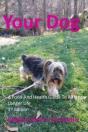Your Dog - Preview