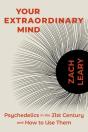 Your Extraordinary Mind - Preview
