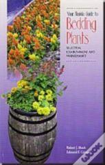 Your Florida Guide To Bedding Plants