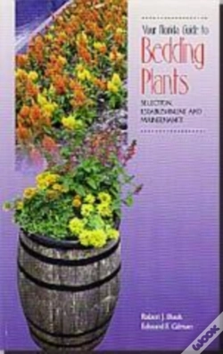 Capa do artigo Your Florida Guide To Bedding Plants