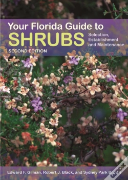 Capa do artigo Your Florida Guide To Shrubs