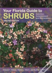 Capa do artigo Your Florida Guide To Shrubs