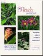 Your Florida Landscape - Preview