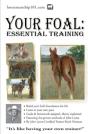 Your Foal - Preview