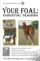 Your Foal