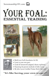 Capa do artigo Your Foal