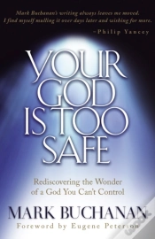 Capa do artigo Your God Is Too Safe