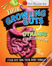 Your Growling Guts And Dynamic Digestive System