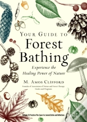 Capa do artigo Your Guide To Forest Bathing (Expanded Edition)