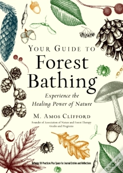Capa do artigo Your Guide To Forest Bathing (Expanded Edition)