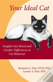 Capa do artigo Your Ideal Cat