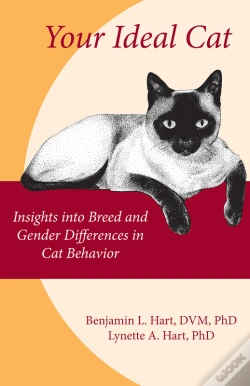 Capa do artigo Your Ideal Cat