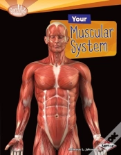 Capa do artigo Your Muscular System