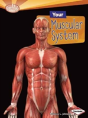 Your Muscular System - Preview