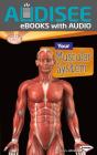 Your Muscular System - Preview