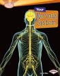 Your Nervous System - Preview