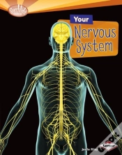 Capa do artigo Your Nervous System