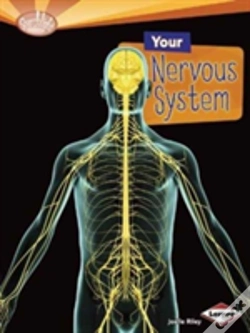 Capa do artigo Your Nervous System