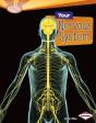 Your Nervous System - Preview